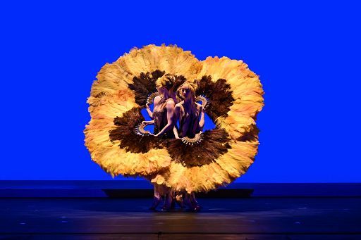 Momix, 